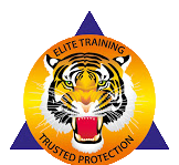 Tiger Force Security
